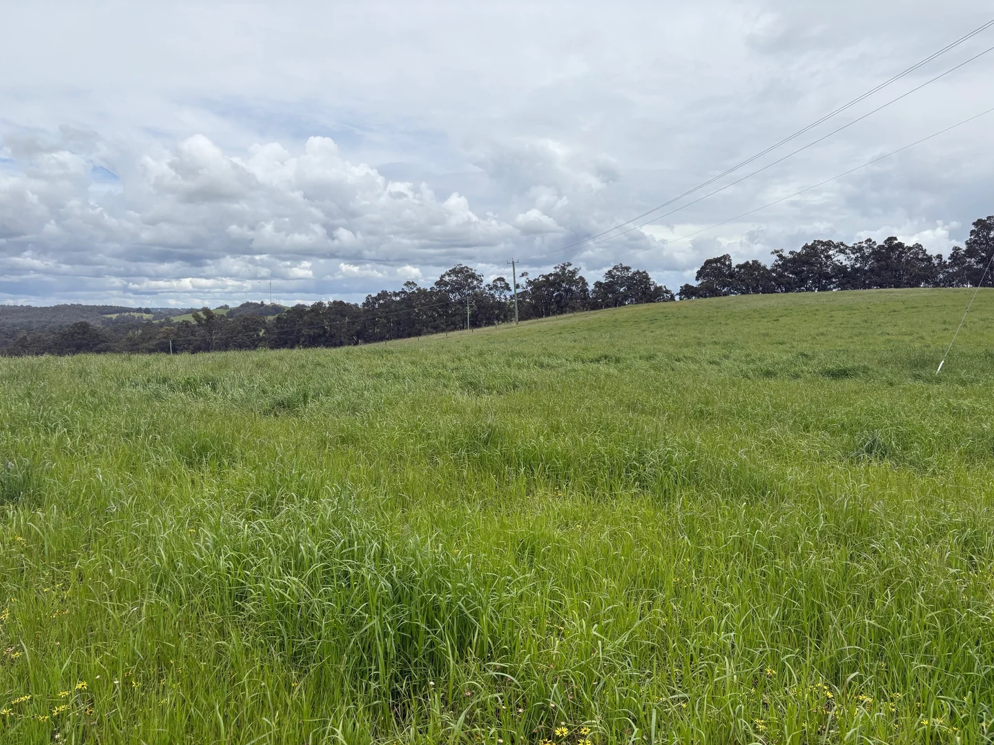 Additional image 16 of Lot 72 Beelerup Road, Beelerup WA 6239