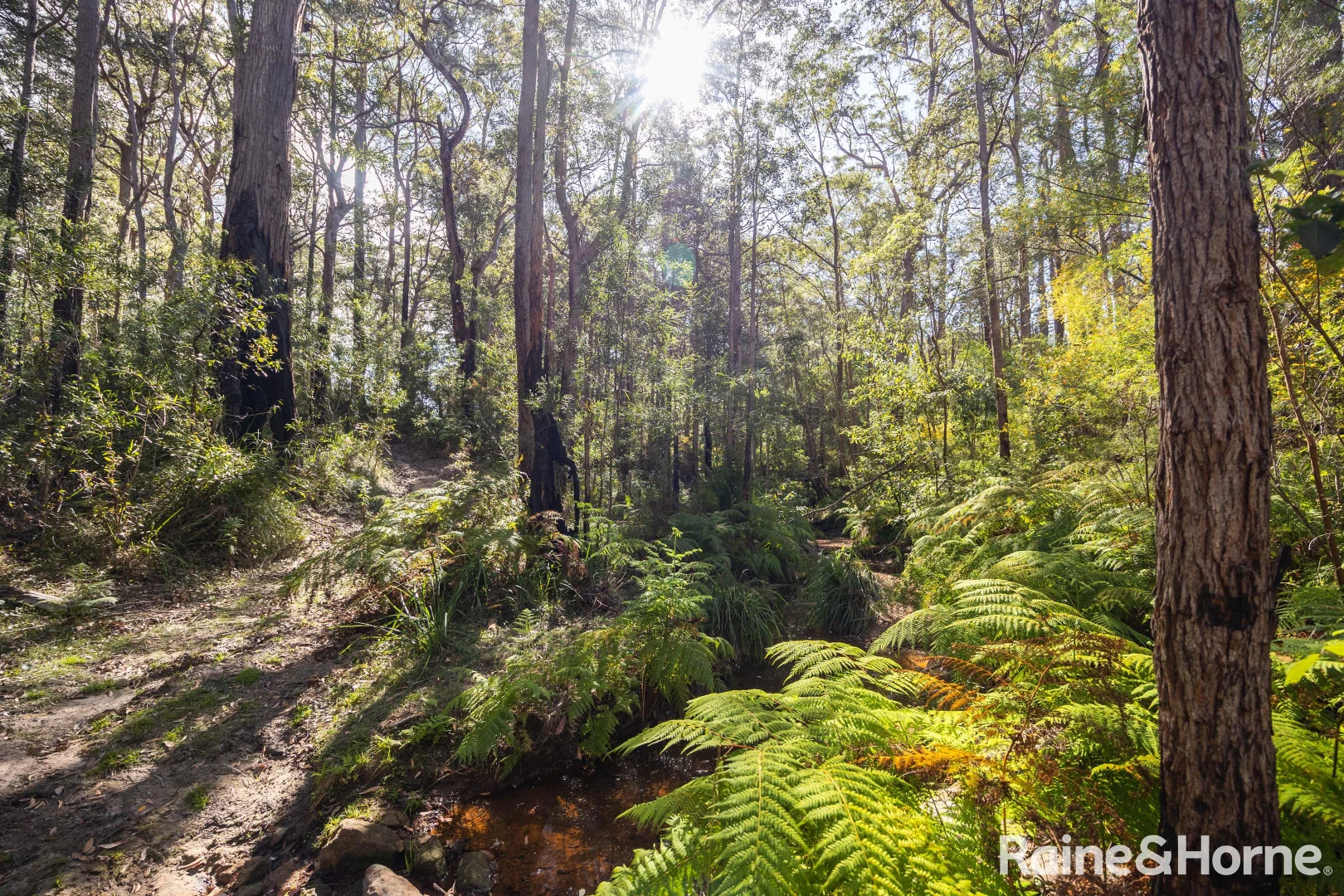 Additional image 16 of Lot 3, 315C Little Forest Road, Little Forest NSW 2538