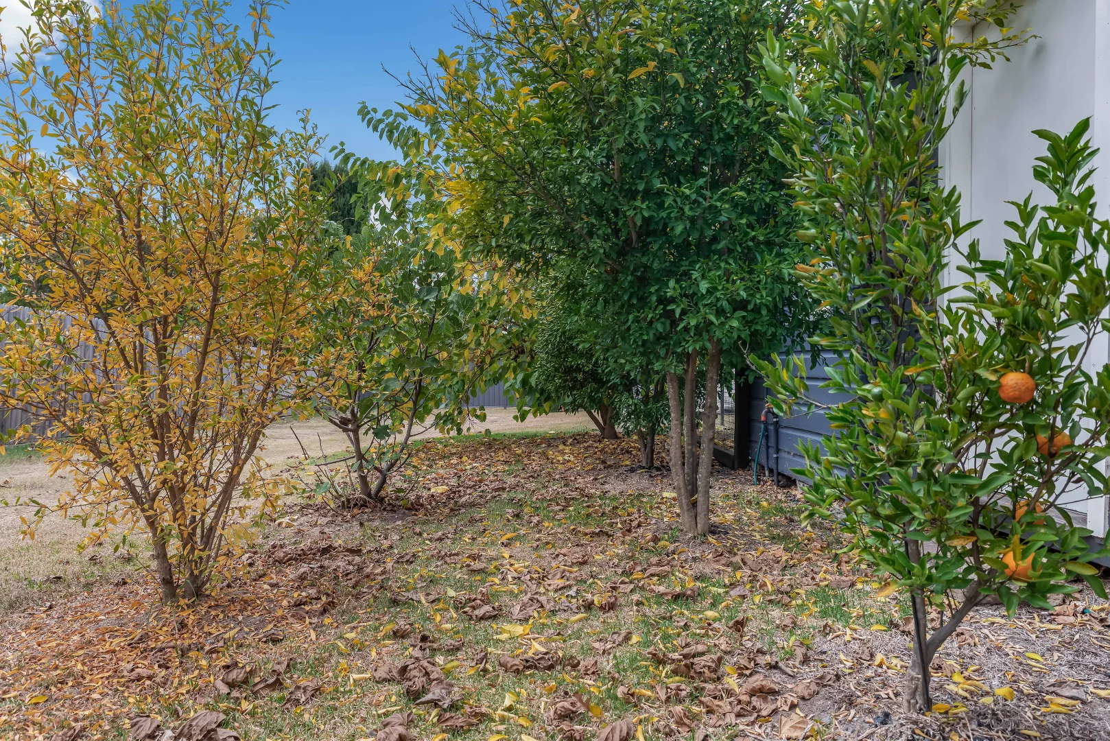 Additional image 23 of 371 Rouse Street, Tenterfield NSW 2372