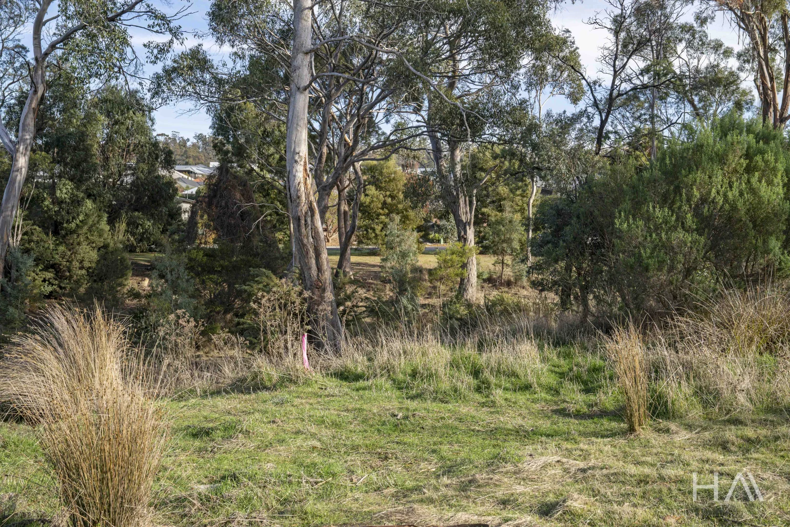 Additional image 6 of 8 + 8A Highland Rise, Kings Meadows TAS 7249
