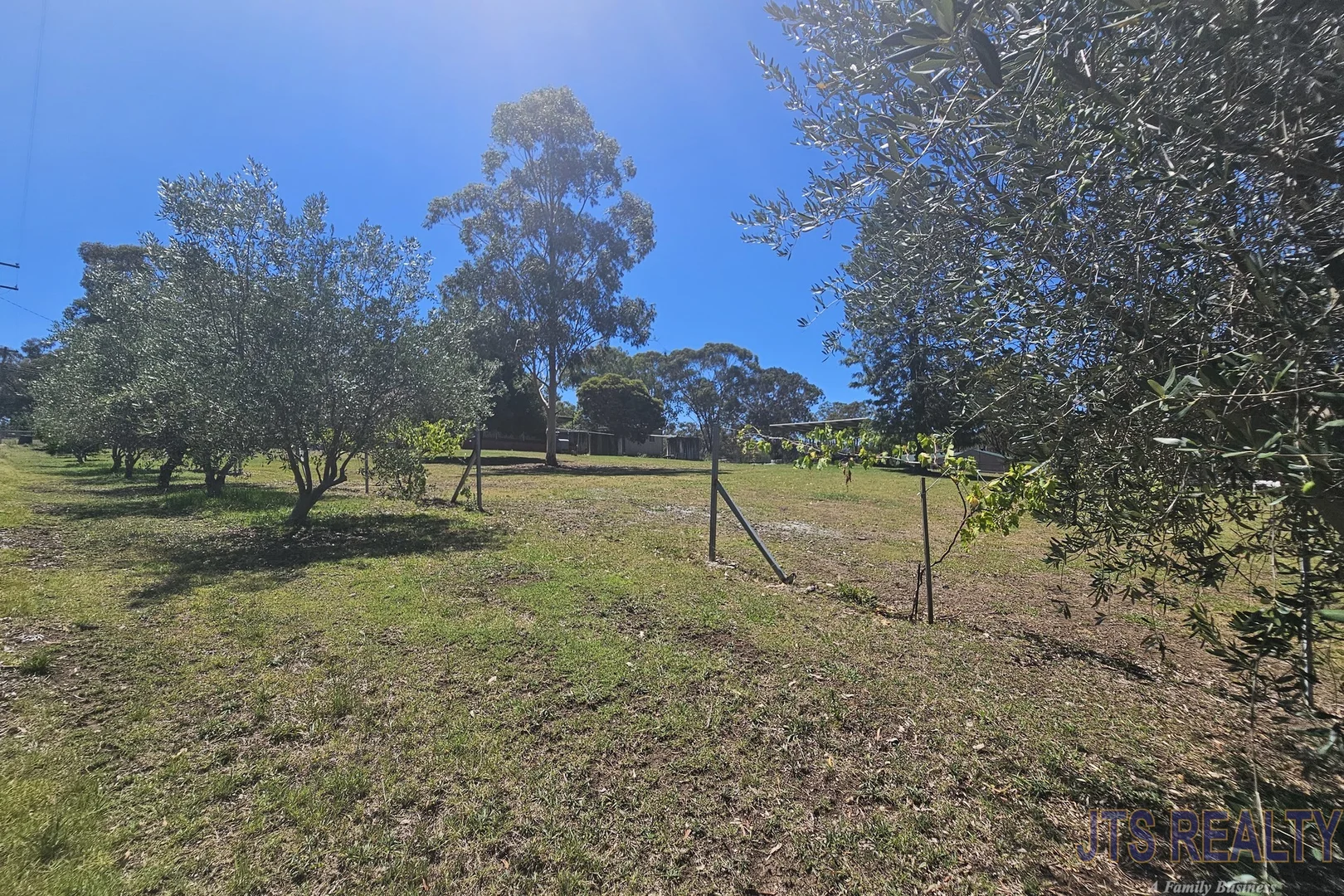 Additional image 21 of 10 Bourke Street, Blandford NSW 2338