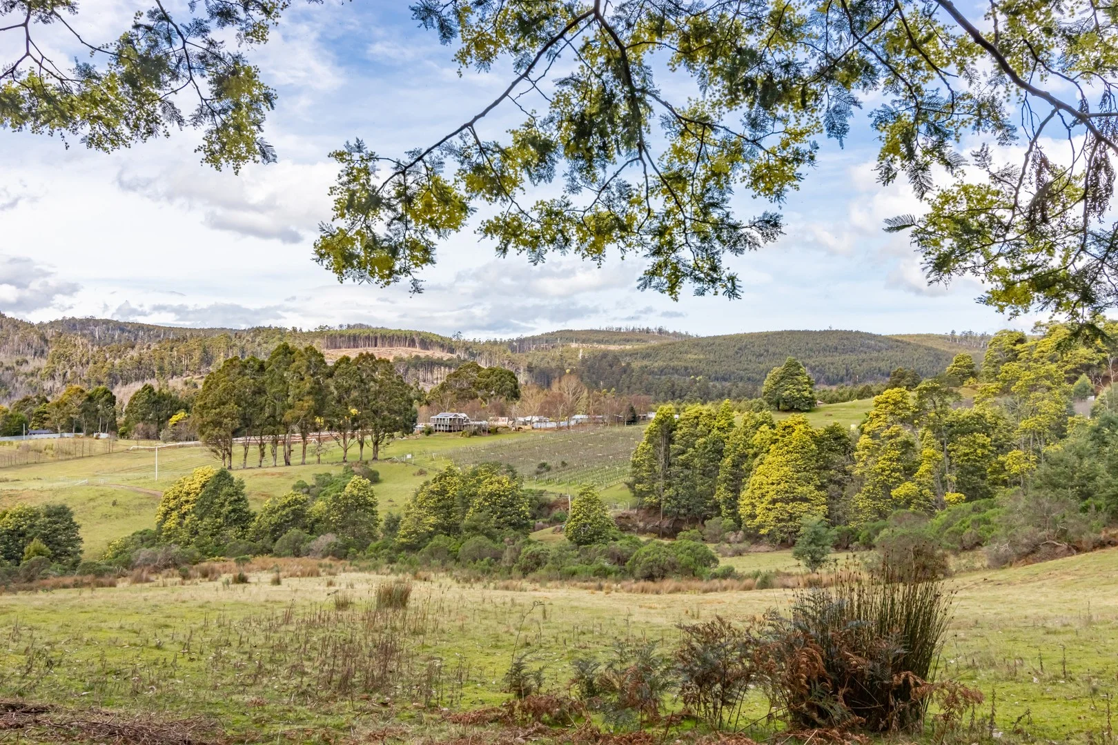 Additional image 18 of 304 Dickensons Creek Road, Glen Huon TAS 7109