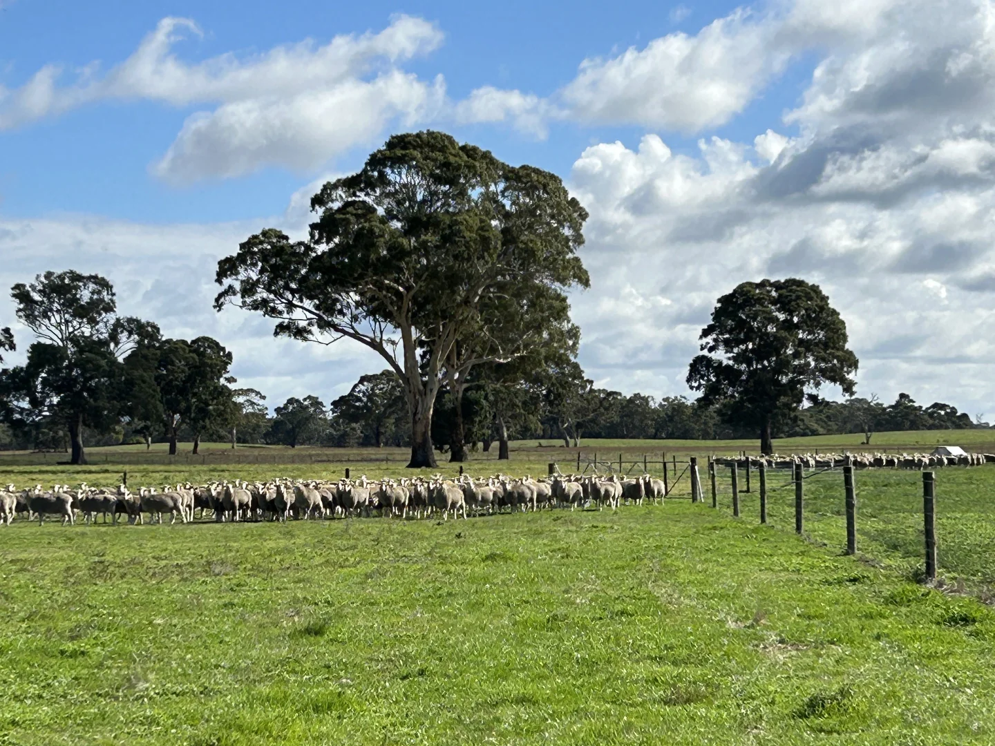 Additional image 4 of 71 Joys Road, Binnum SA 5262