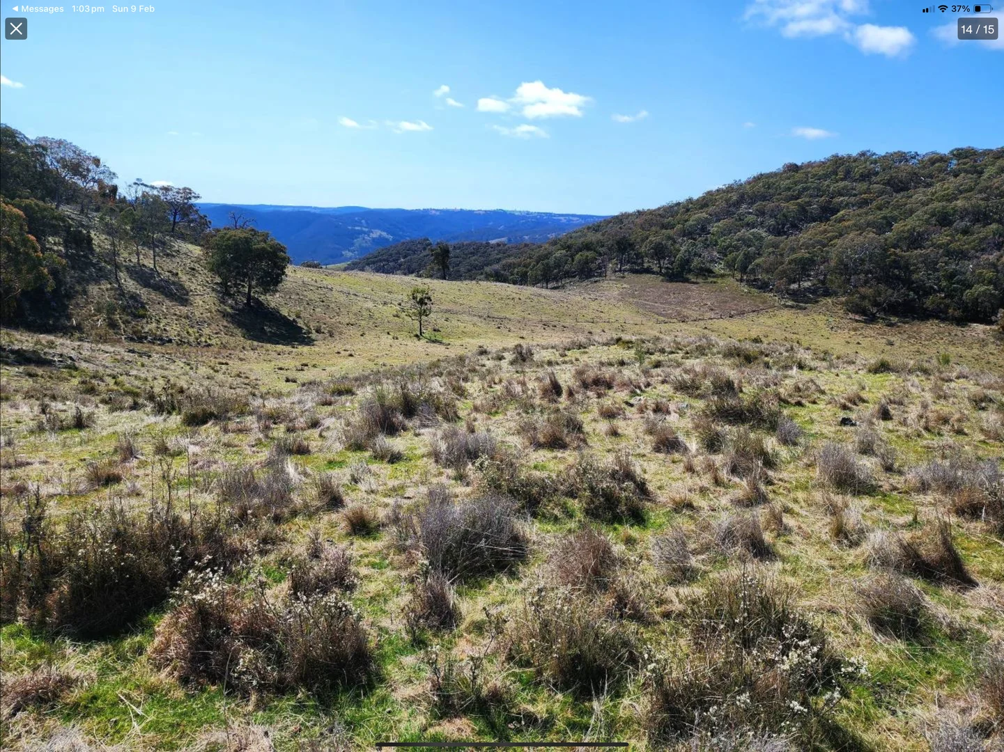 Additional image 19 of "Cummings Gap" Ullamalla road, Mudgee NSW 2850