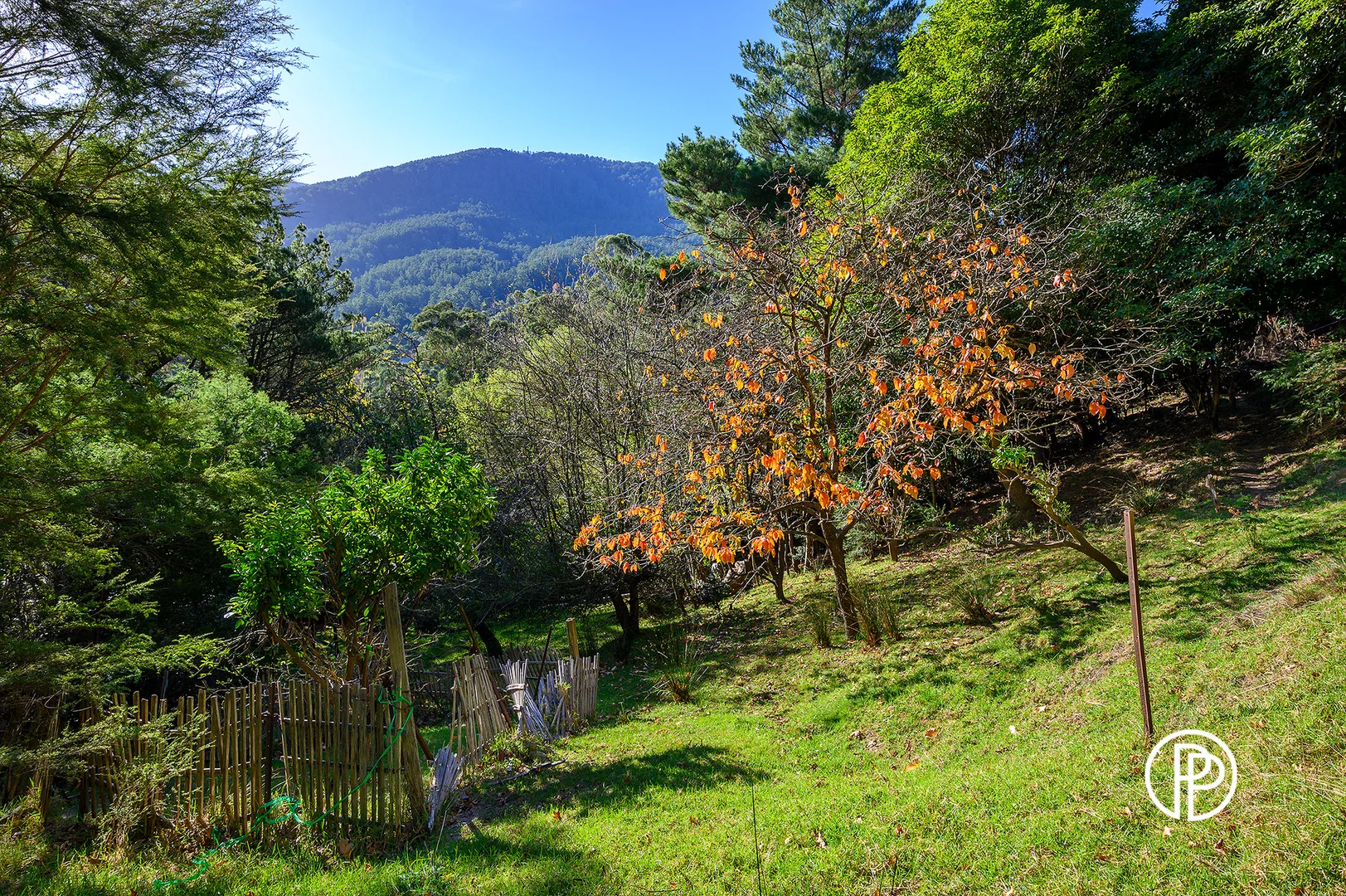 Additional image 6 of 41/20 Ferntree Avenue, Warburton VIC 3799