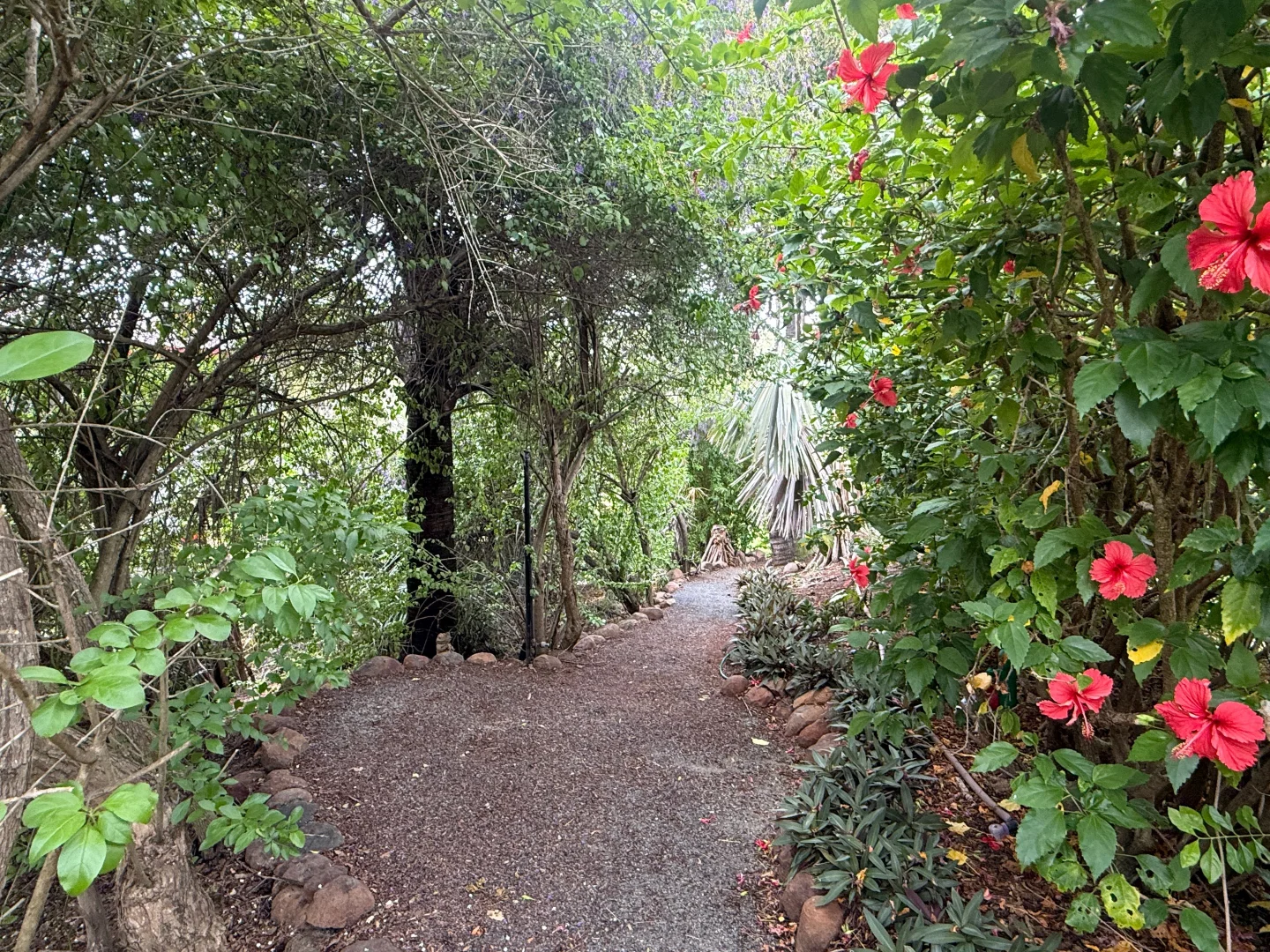 Additional image 32 of 2 Fairmont Terrace, Rockyview QLD 4701