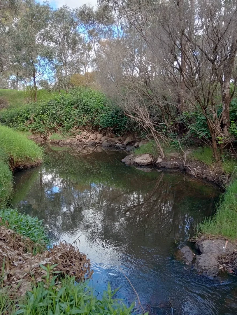 Additional image 5 of 6 Ellen Street, Brunswick WA 6224