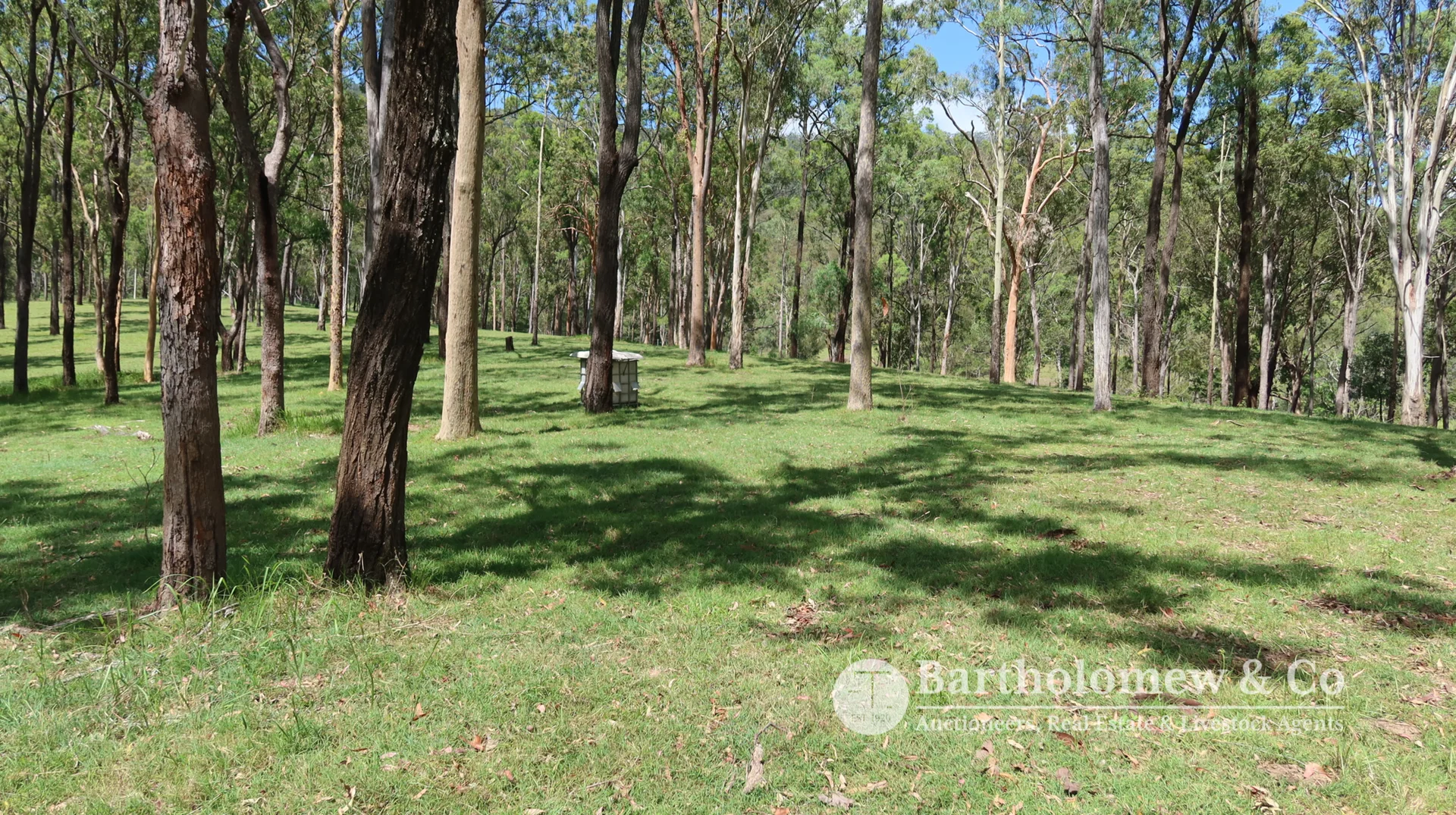 Additional image 7 of 486 Mundoolun Connection Road, Boyland QLD 4275