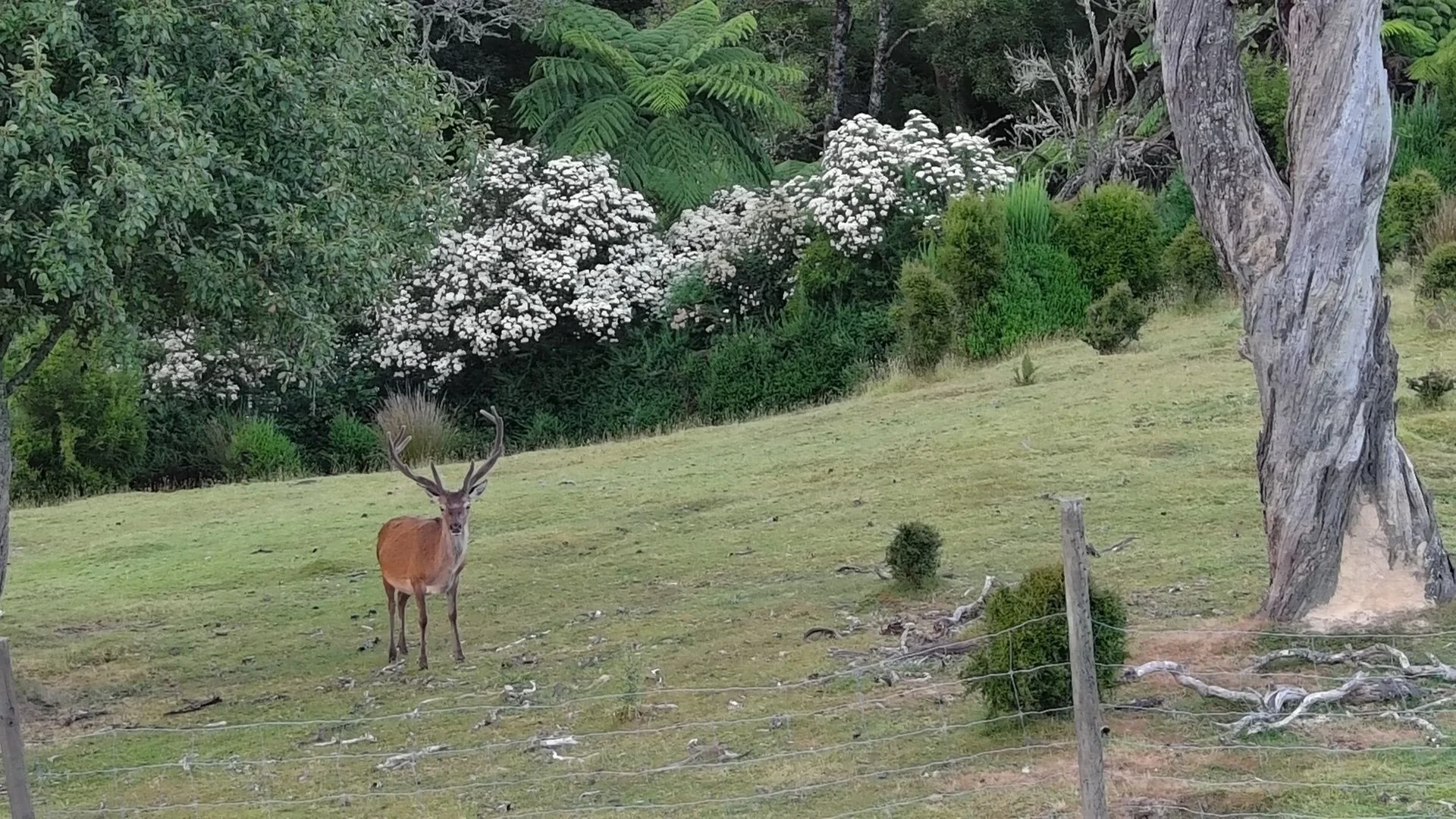 Additional image 10 of Grand Ridge VIC 3870