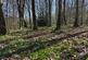 Additional image 4 of Needlewood Grove, Redditch, Worcestershire B48