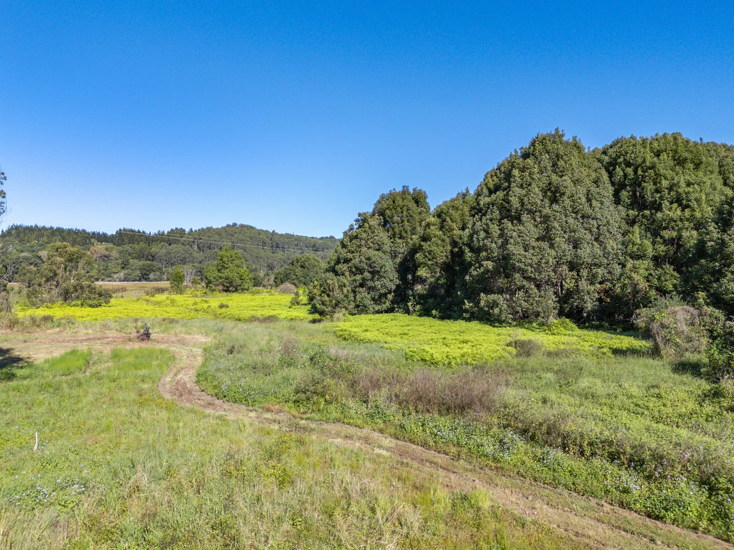 Additional image 5 of 37 George Street, Tintenbar NSW 2478