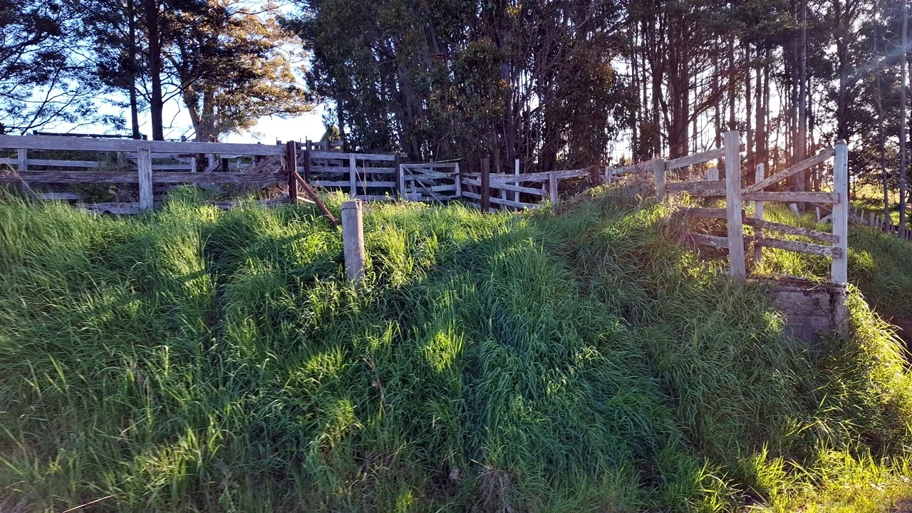 Additional image 28 of 108 Weeks Road, Barrington TAS 7306