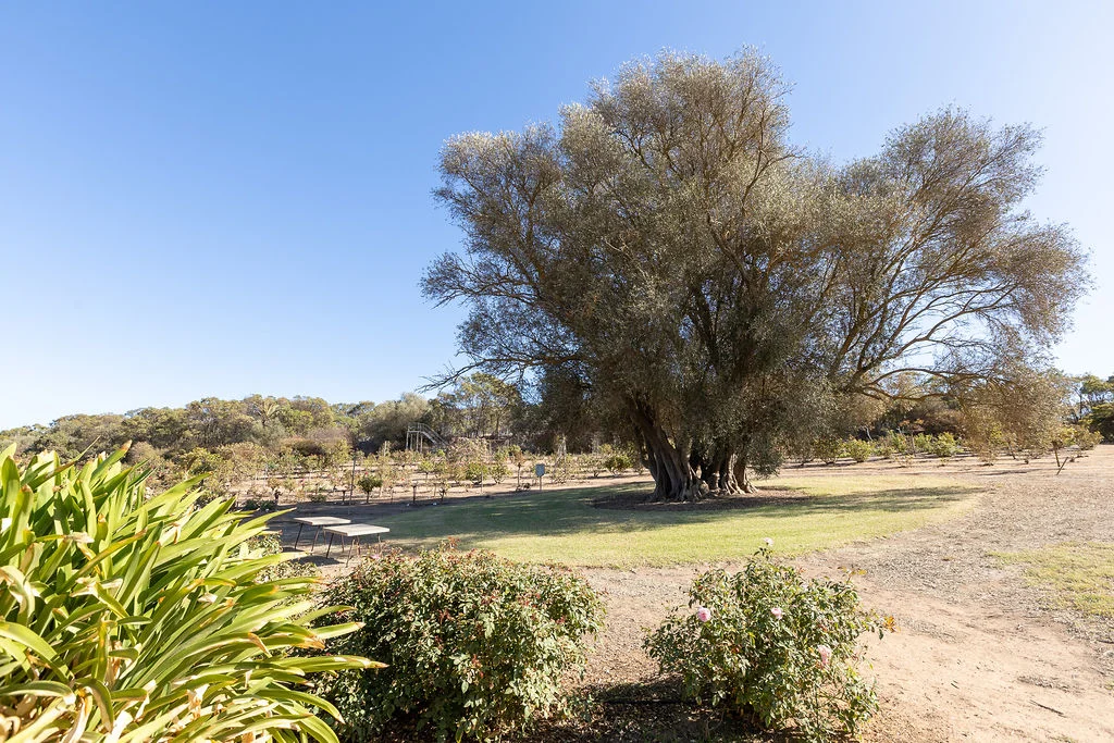 Additional image 19 of 52 Howards Road, Koppio SA 5607