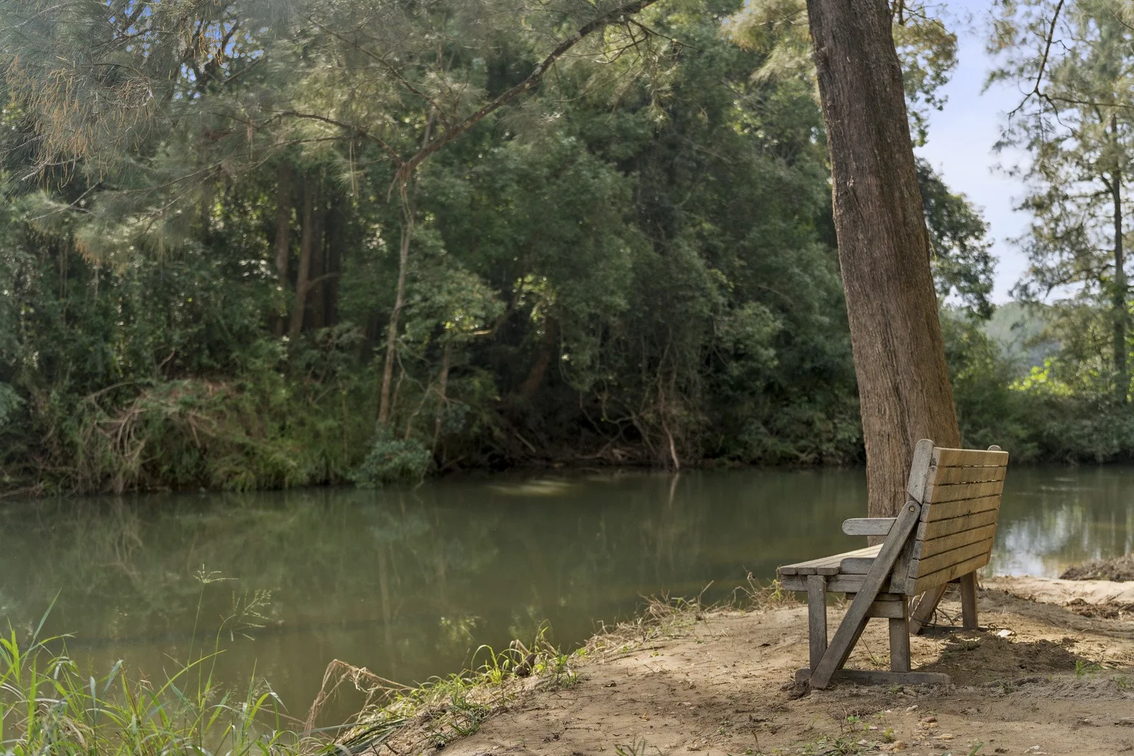 Additional image 7 of 42 Sunny Corner Road, Bellingen NSW 2454