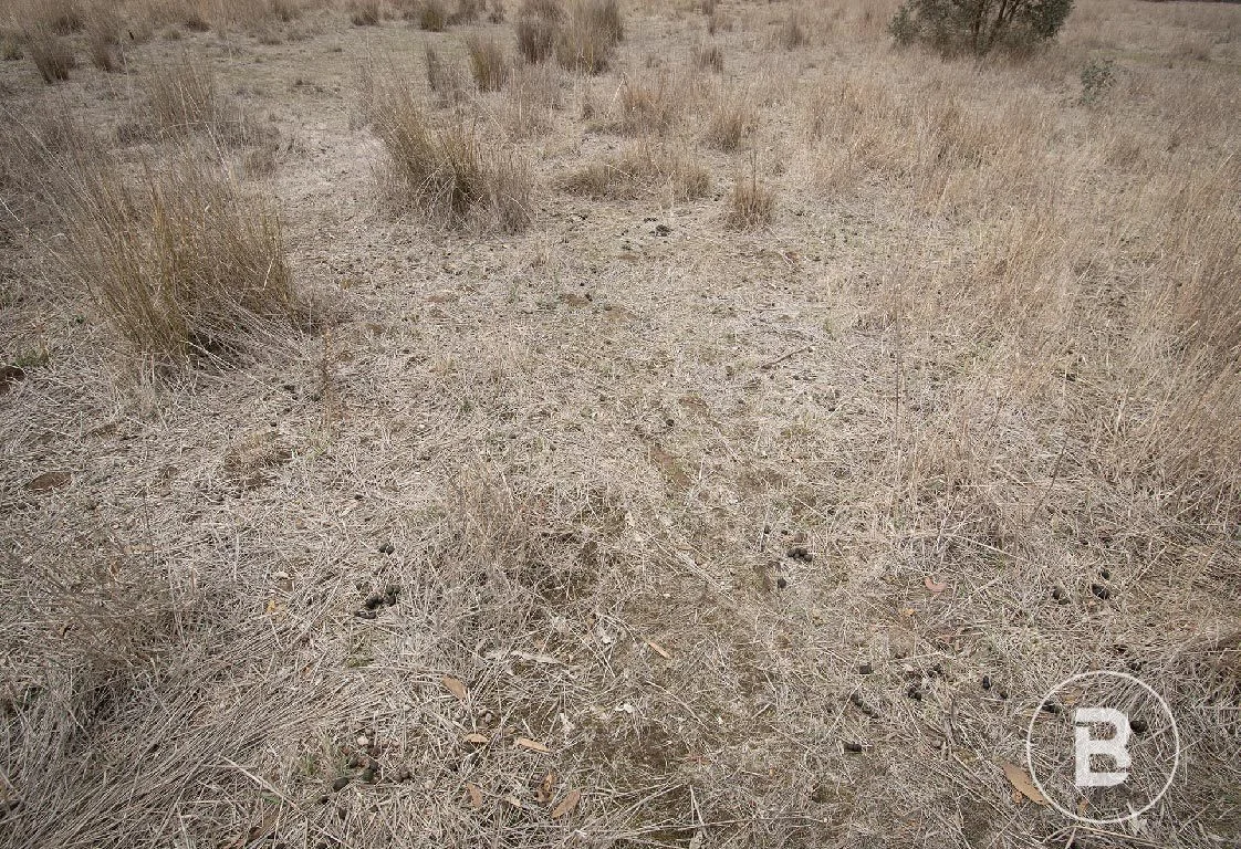 Additional image 11 of 163 Kicks Lane, Dunolly VIC 3472