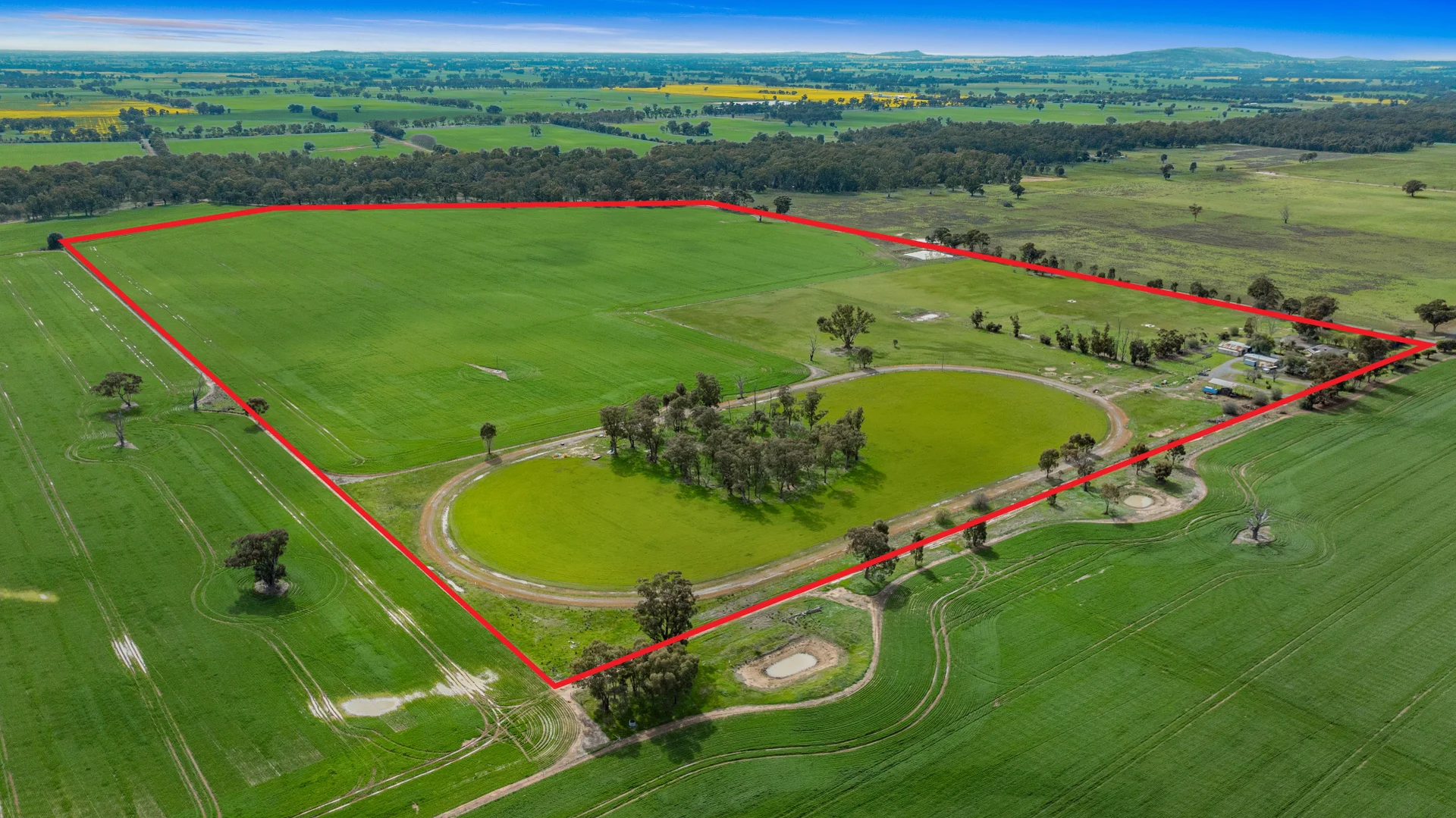 Additional image 29 of 130 Violet Town Boundary Road, Kialla East VIC 3631