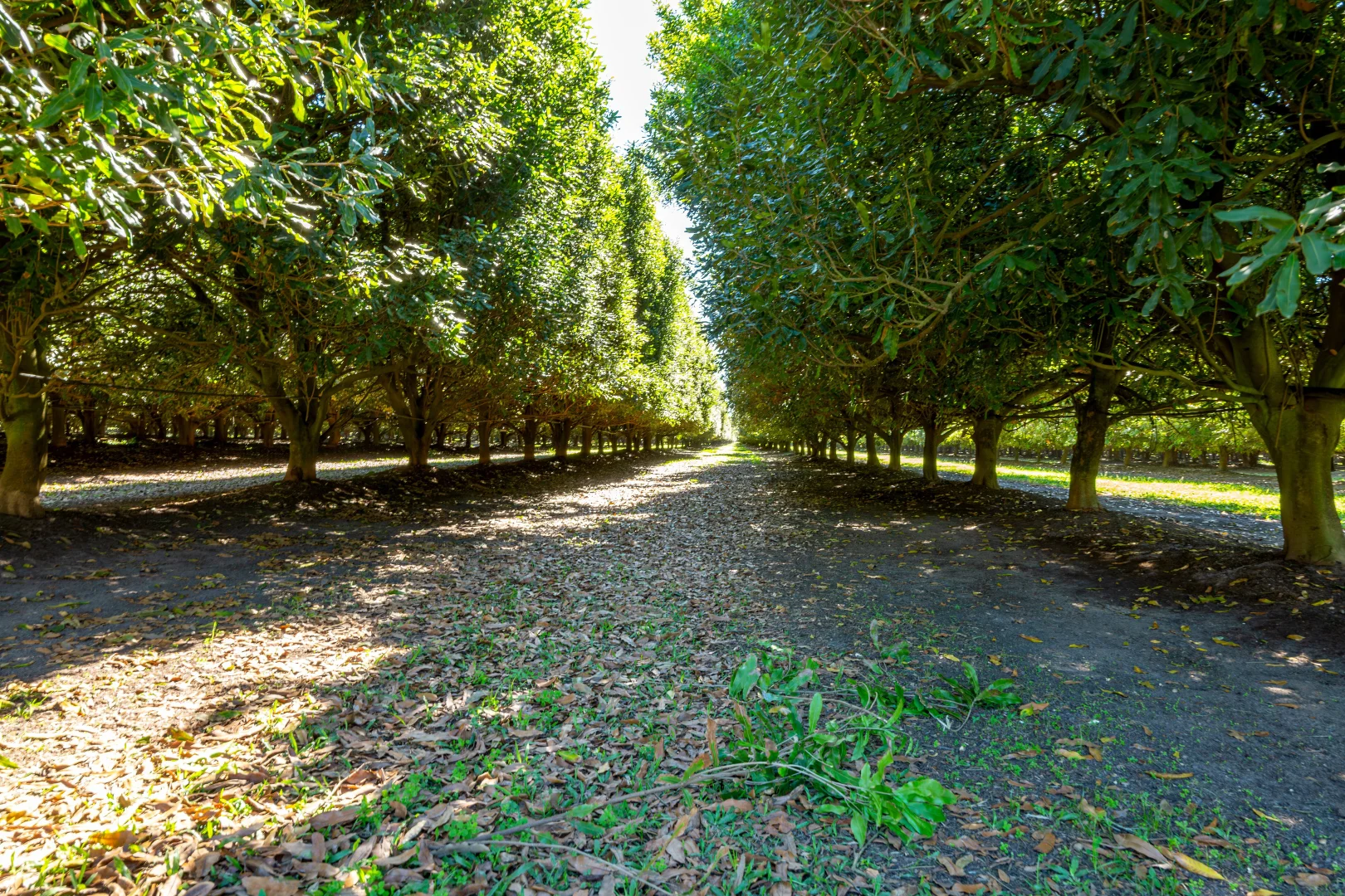 Additional image 5 of 323 Jensen Road, Lower Wonga QLD 4570