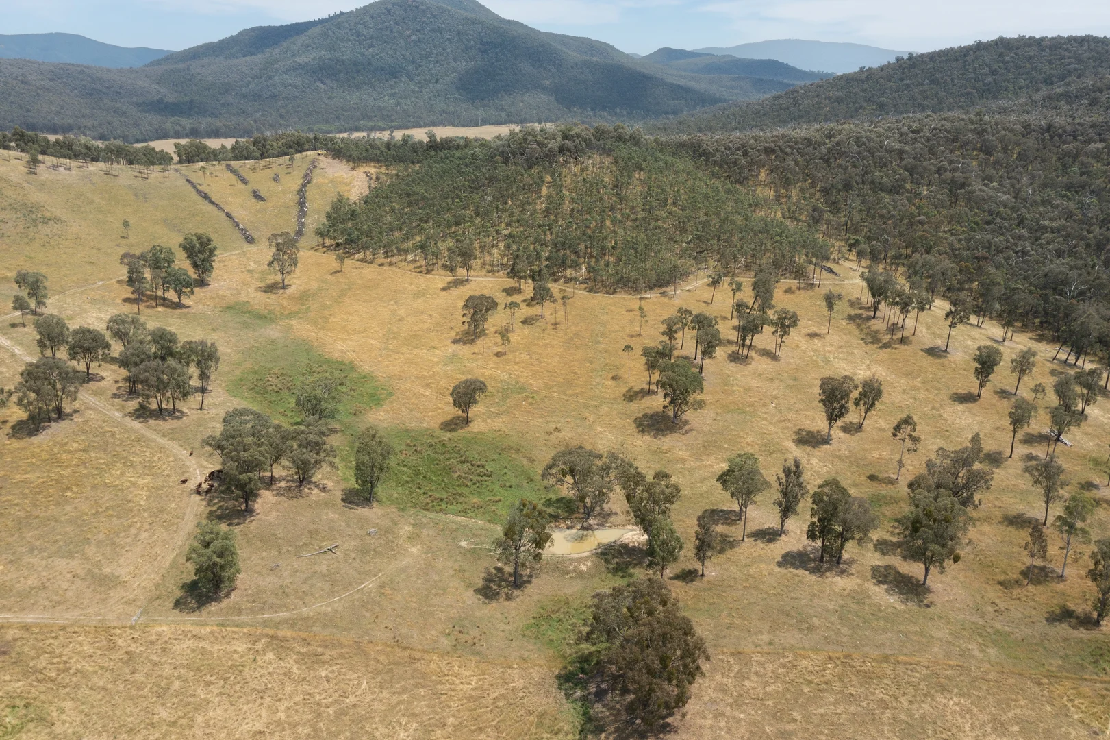 Additional image 30 of 45 Settlers Lane, Myrtleford VIC 3737