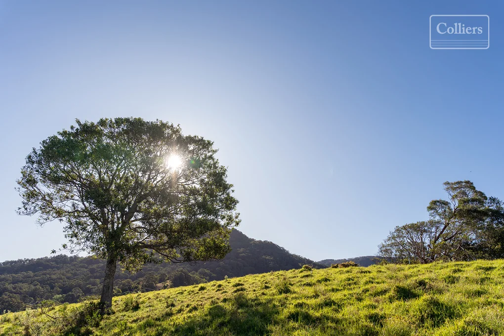 Additional image 6 of 32 Blueberry Place, Cordeaux Heights NSW 2526