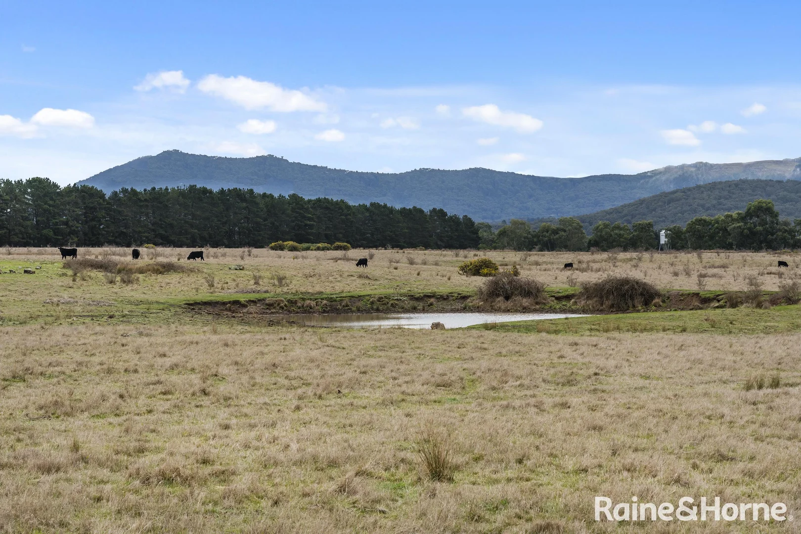 Additional image 13 of 465 Hamilton Road, New Gisborne VIC 3438