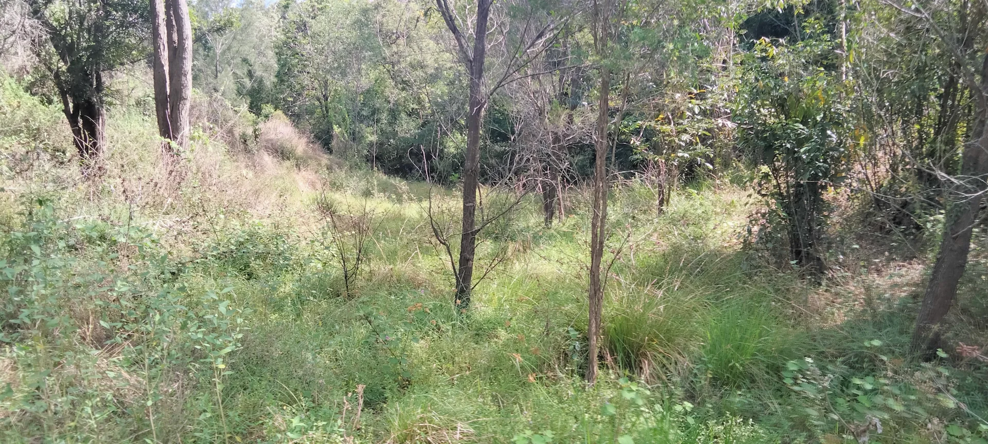 Additional image 17 of 3359 Lowmead Road, Lowmead QLD 4676