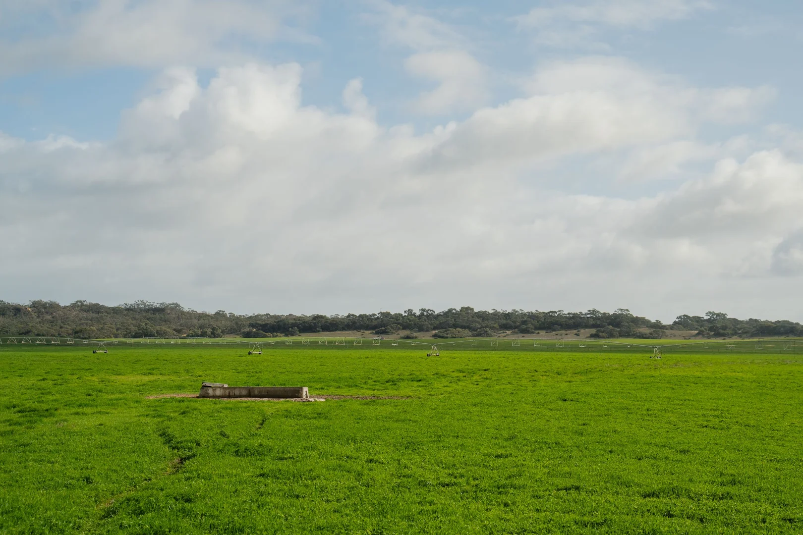 Additional image 6 of 8 Coombe Road, Tintinara SA 5266