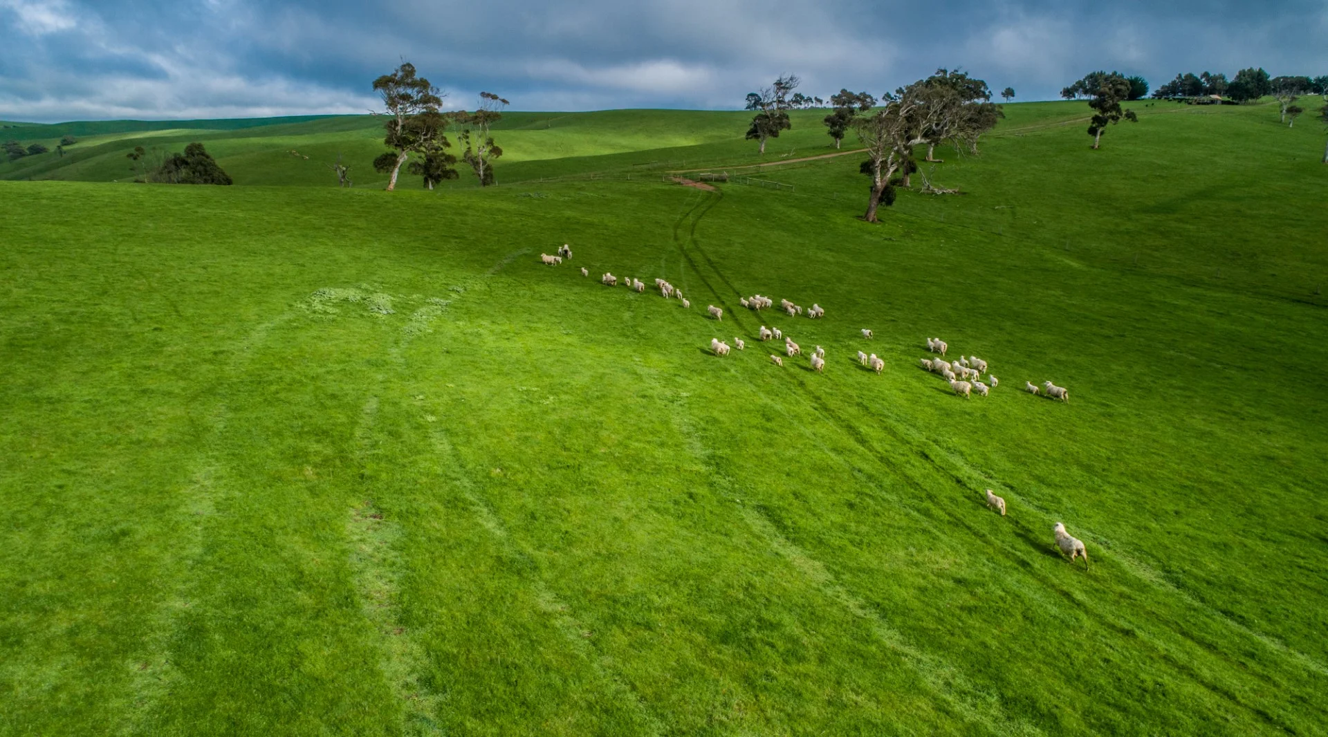 Additional image 15 of Old Sellicks Hill Road, Sellicks Hill SA 5174