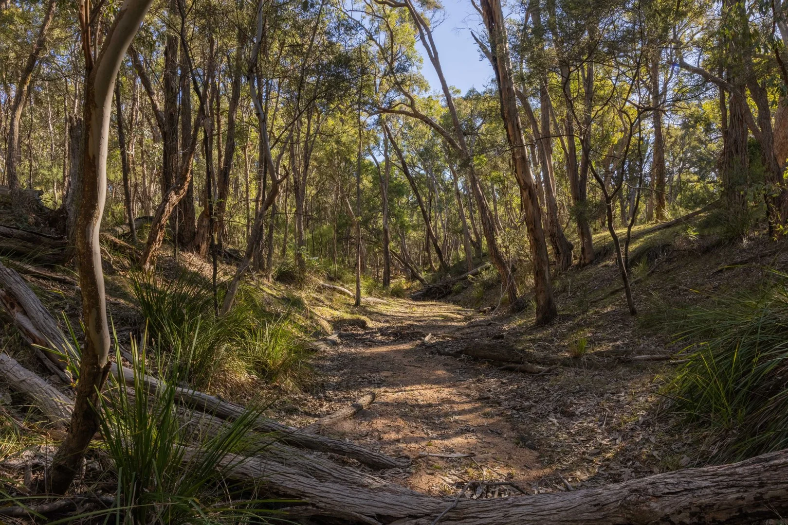 Additional image 5 of 318 White Cedars Road, Mudgee NSW 2850
