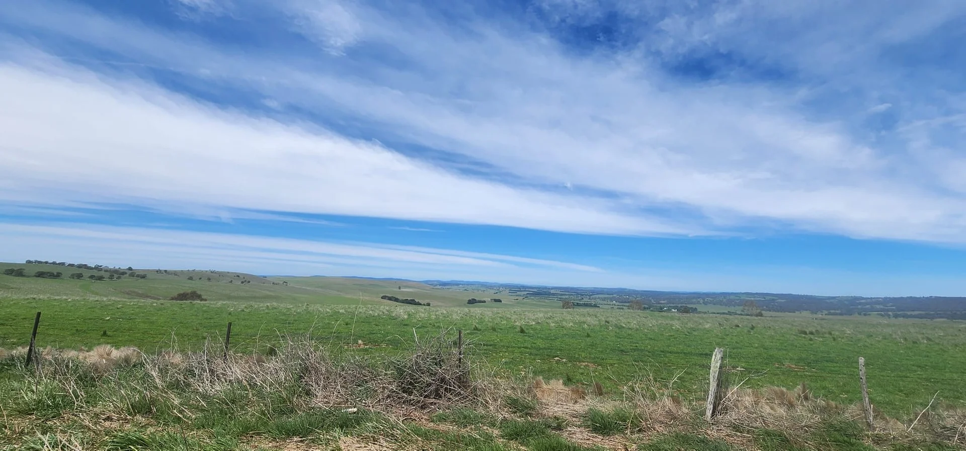 Lot 2, 175 Pomeroy Mill Ford Rd, Mummel NSW 2580