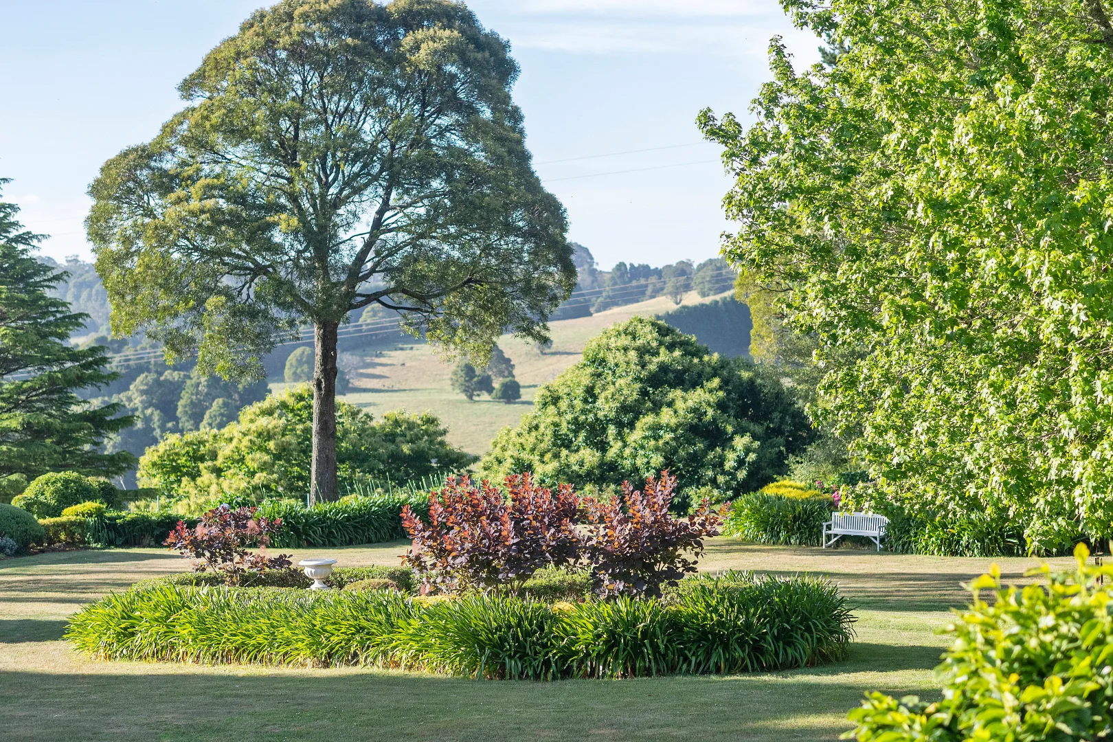 Additional image 3 of 192 Pearsons Lane, Robertson NSW 2577