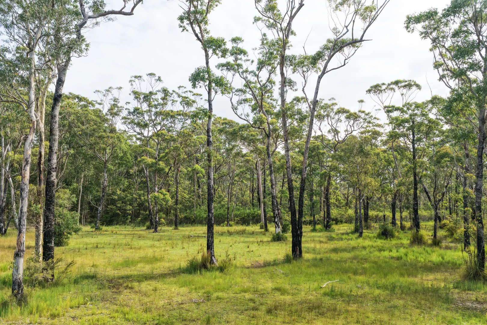 Additional image 12 of 531 Skylark Close, Bawley Point NSW 2539