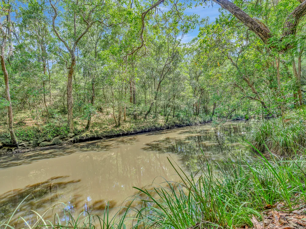 Additional image 7 of 136 Browns Road, Halfway Creek NSW 2460