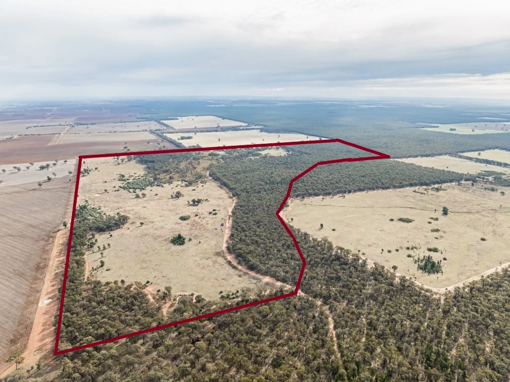 Additional image 4 of 'Keystone' 39 Williams Road, Mimosa NSW 2666