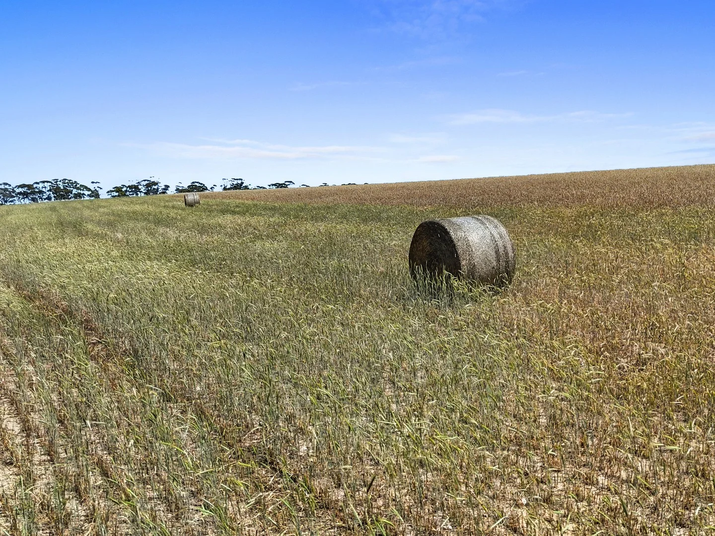 Additional image 2 of 2293 & 2640 Mallee Highway, Sherlock SA 5301