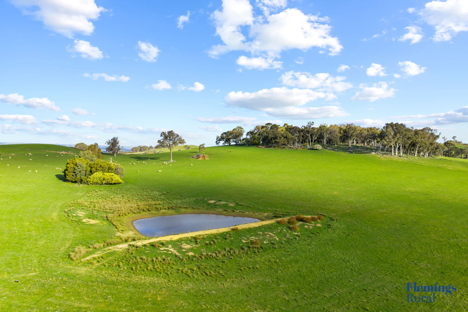 Additional image 5 of 890 Perks Road, Rugby NSW 2583