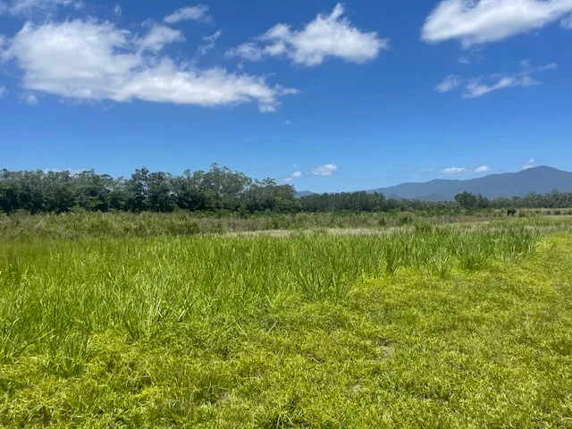 Additional image 2 of 12 Pine Creek - Yarrabah Road, East Trinity QLD 4871