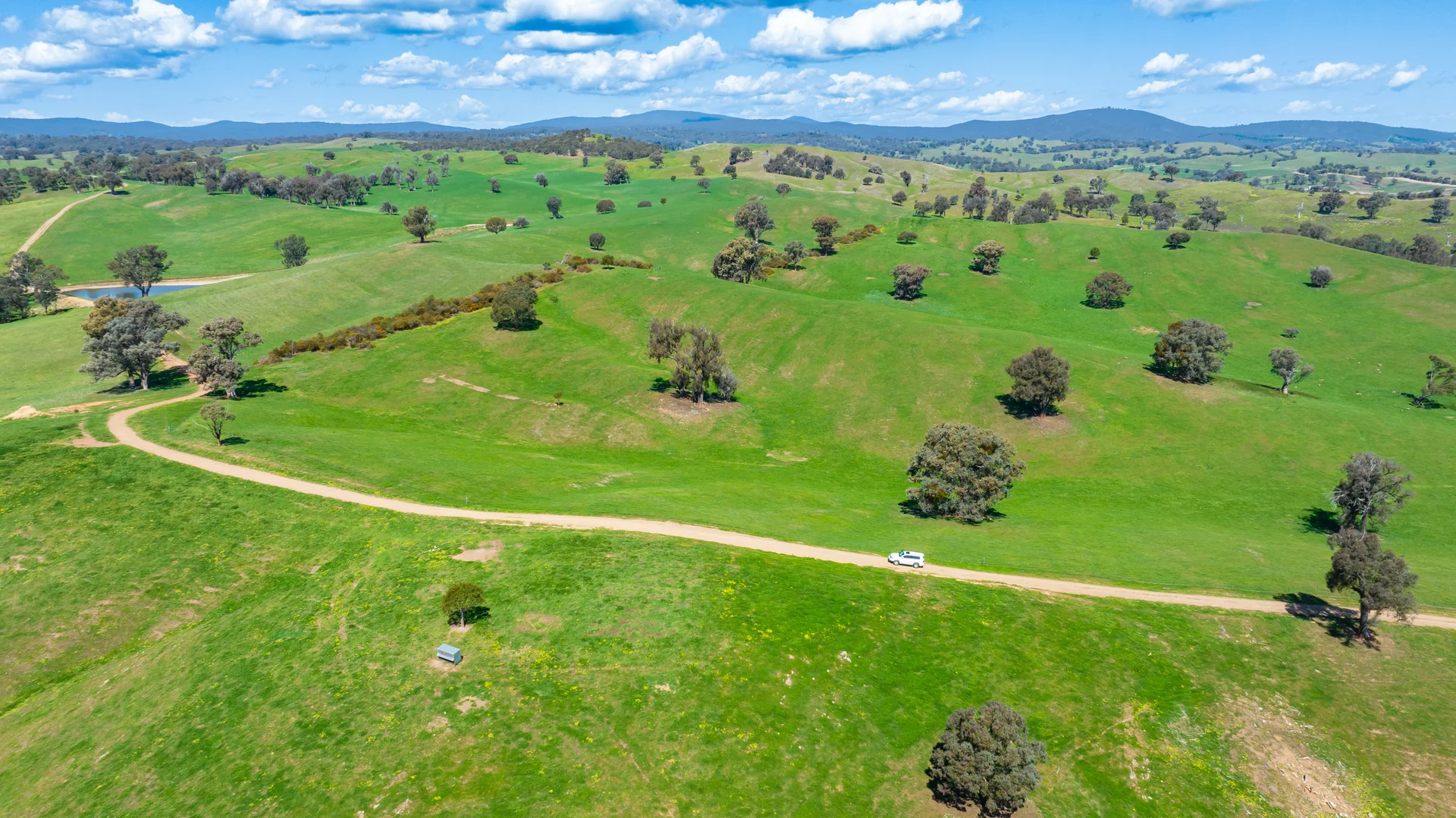 Additional image 4 of 13759 Hume Highway, Mullengandra NSW 2644