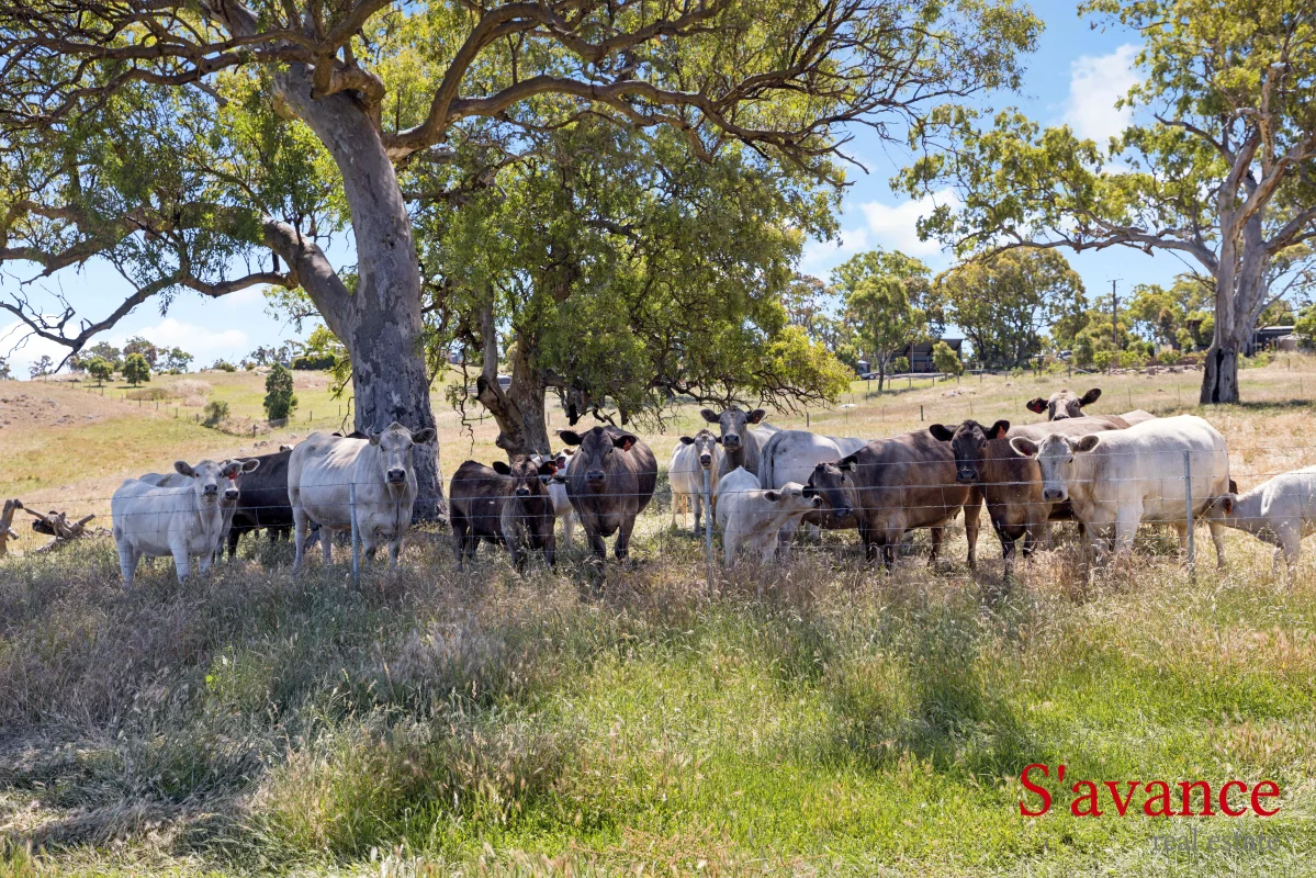 Additional image 24 of 10 Warmington Run, Mount Torrens SA 5244