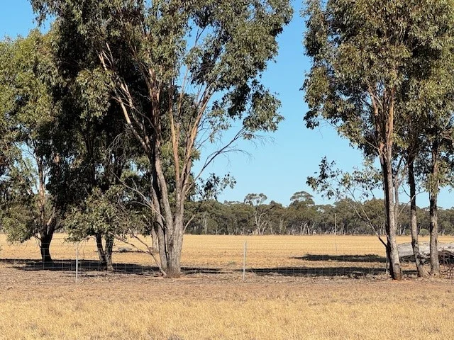 Additional image 8 of CA8B Boort Kurting Road, Kurting VIC 3517