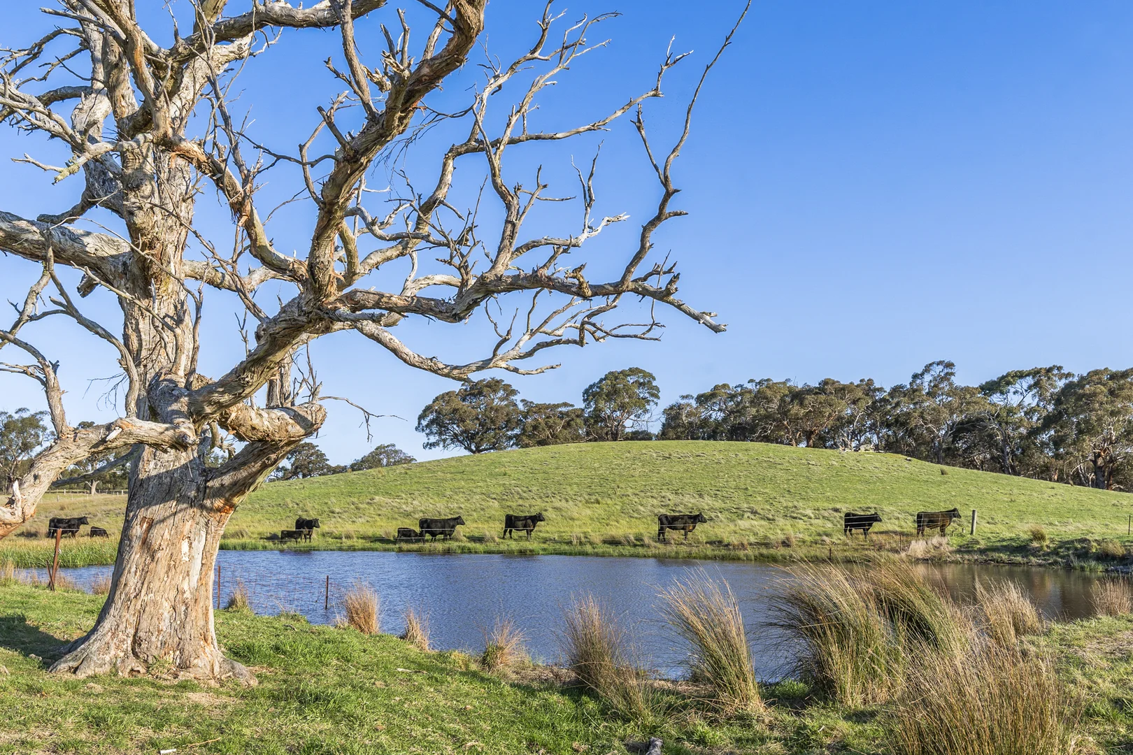 Additional image 13 of 153 Angees Road, Elaine VIC 3334