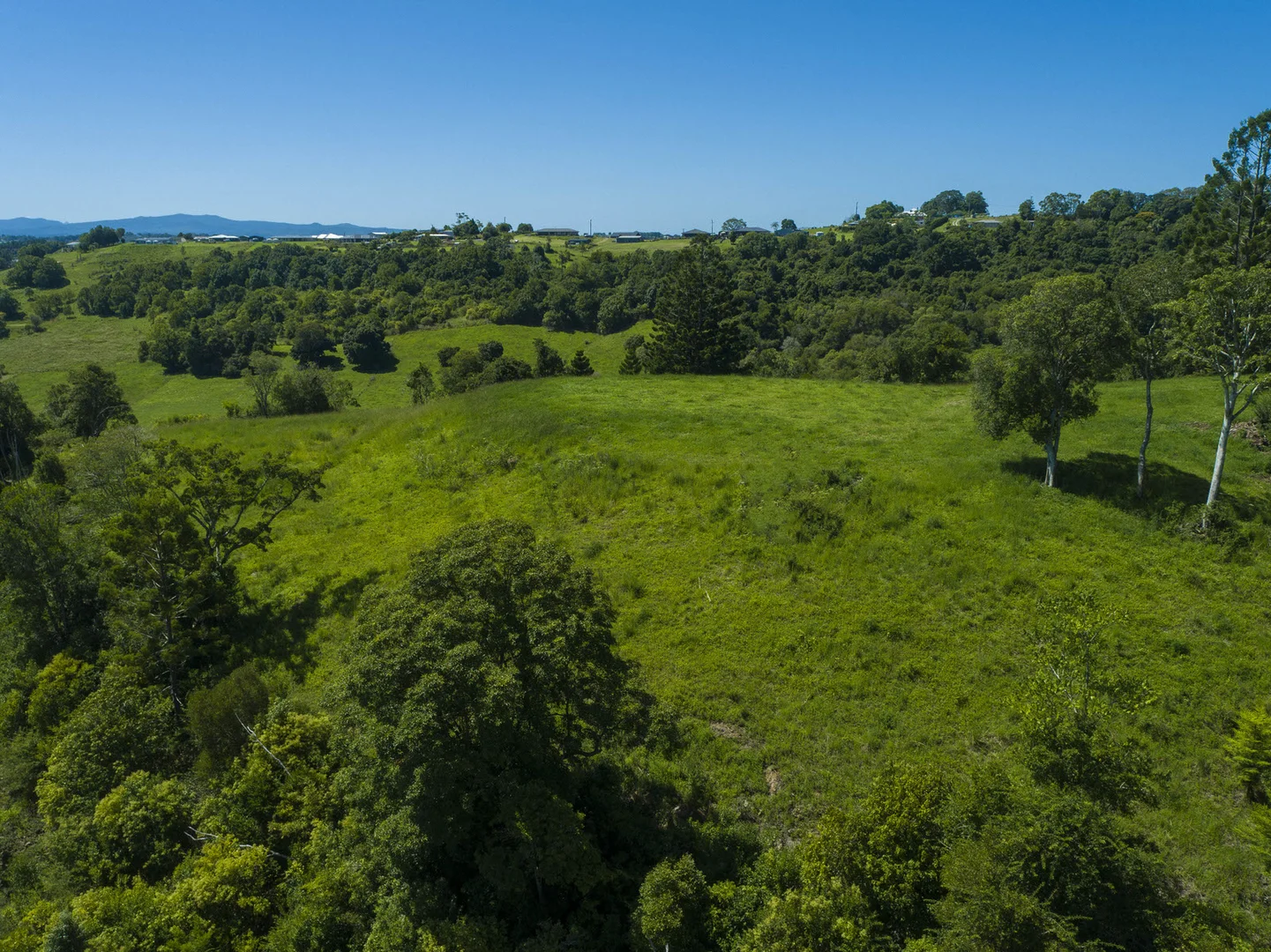 Additional image 7 of McLeans Ridges NSW 2480