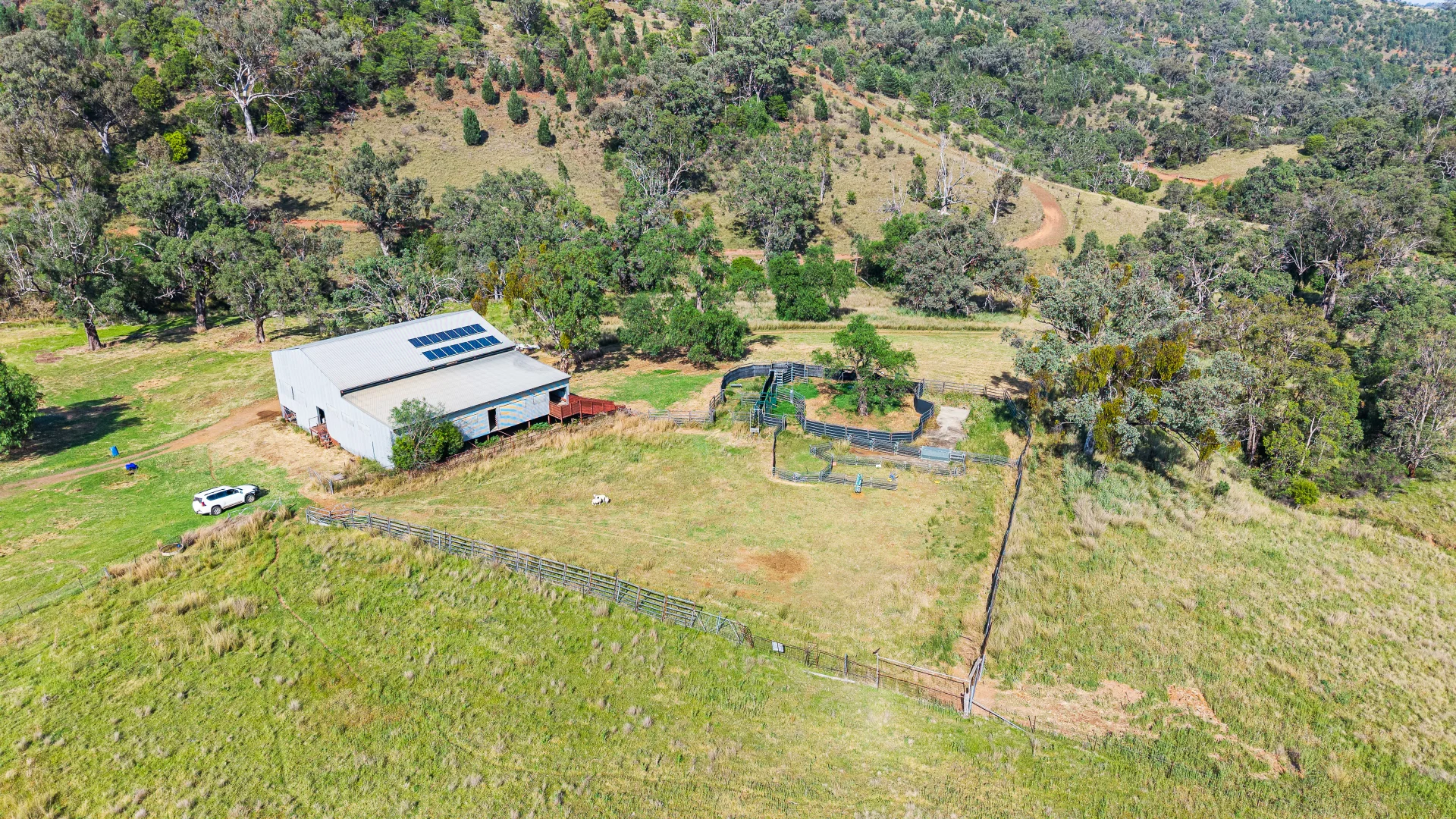 Additional image 12 of "Upper Forest View" 562 Wisemans Arm Road, Attunga NSW 2345