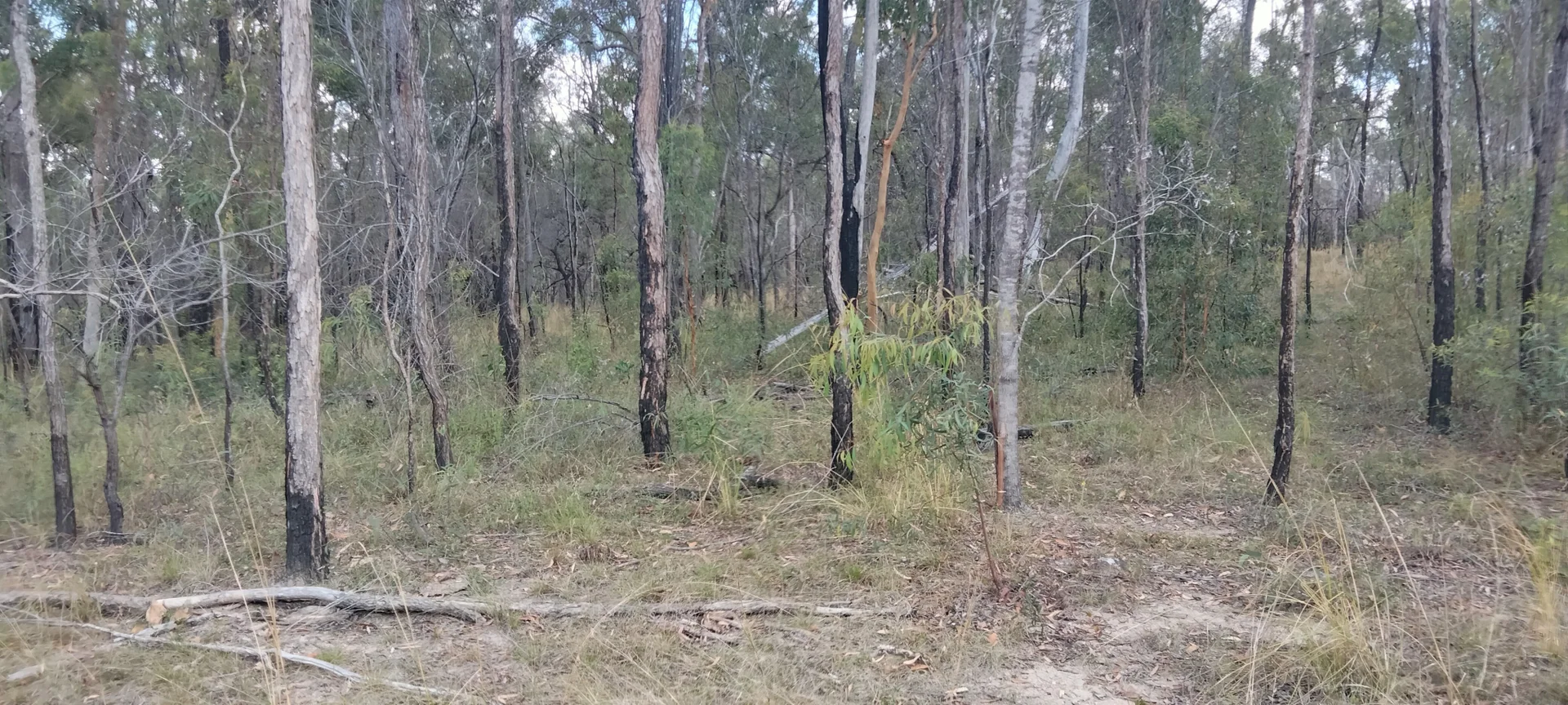 Additional image 8 of 3359 Lowmead Road, Lowmead QLD 4676