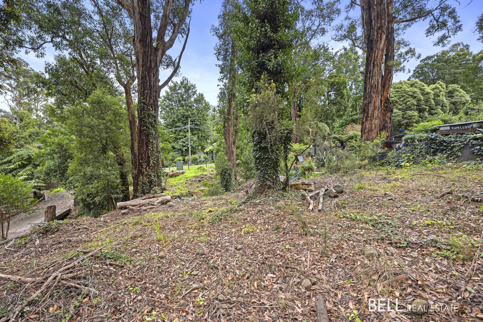 Additional image 6 of 53 Wonga Road, Millgrove VIC 3799