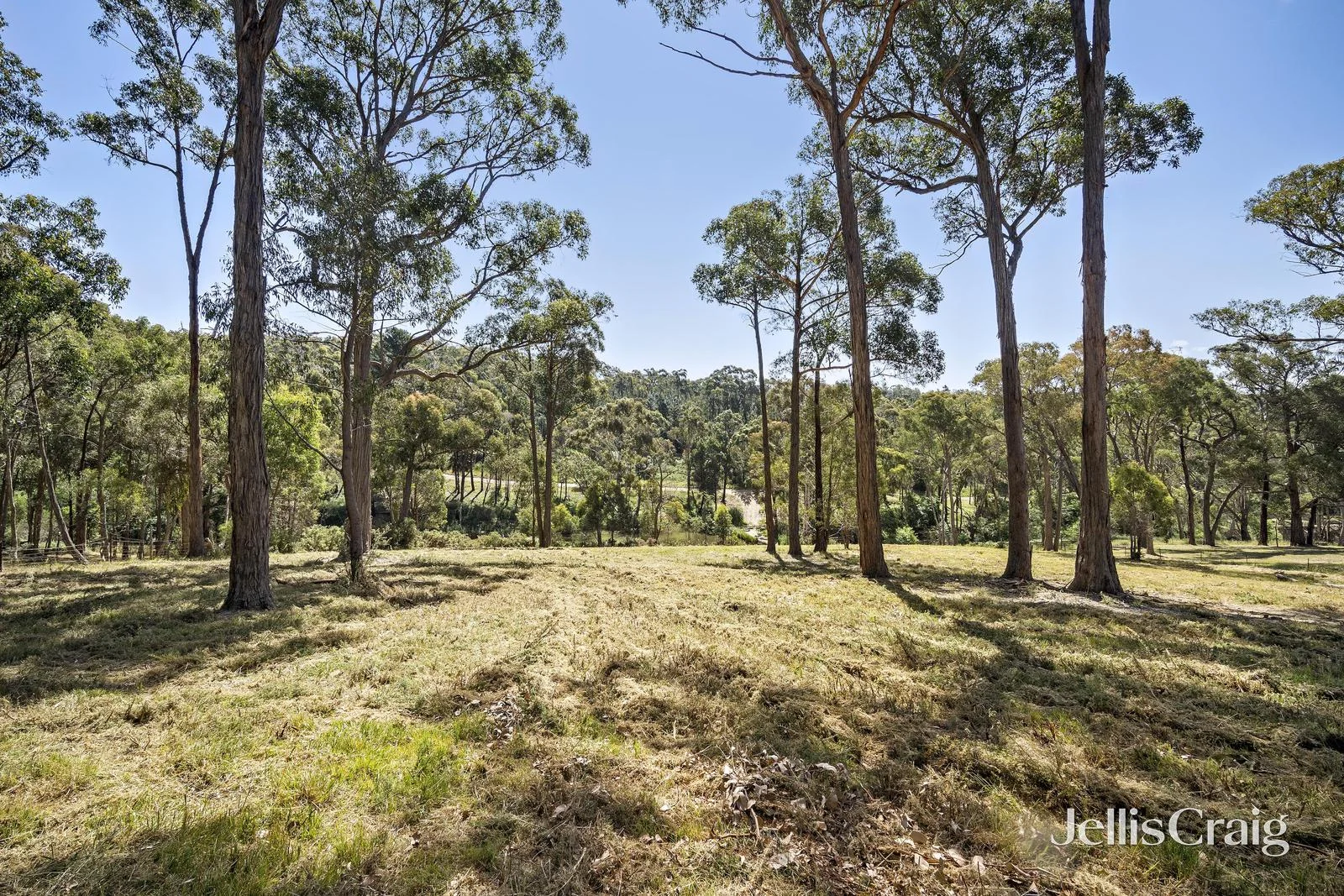 Additional image 5 of 52A Western Avenue, Hepburn VIC 3461