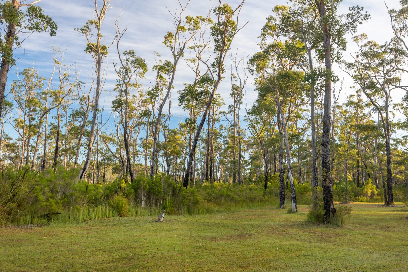 Additional image 14 of 531 Skylark Close, Bawley Point NSW 2539