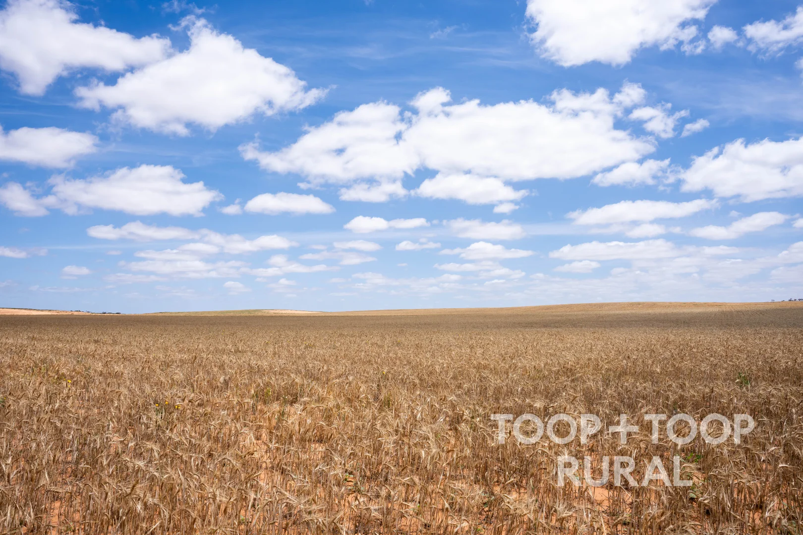 Additional image 4 of 2167 Bakara Road, Galga SA 5308