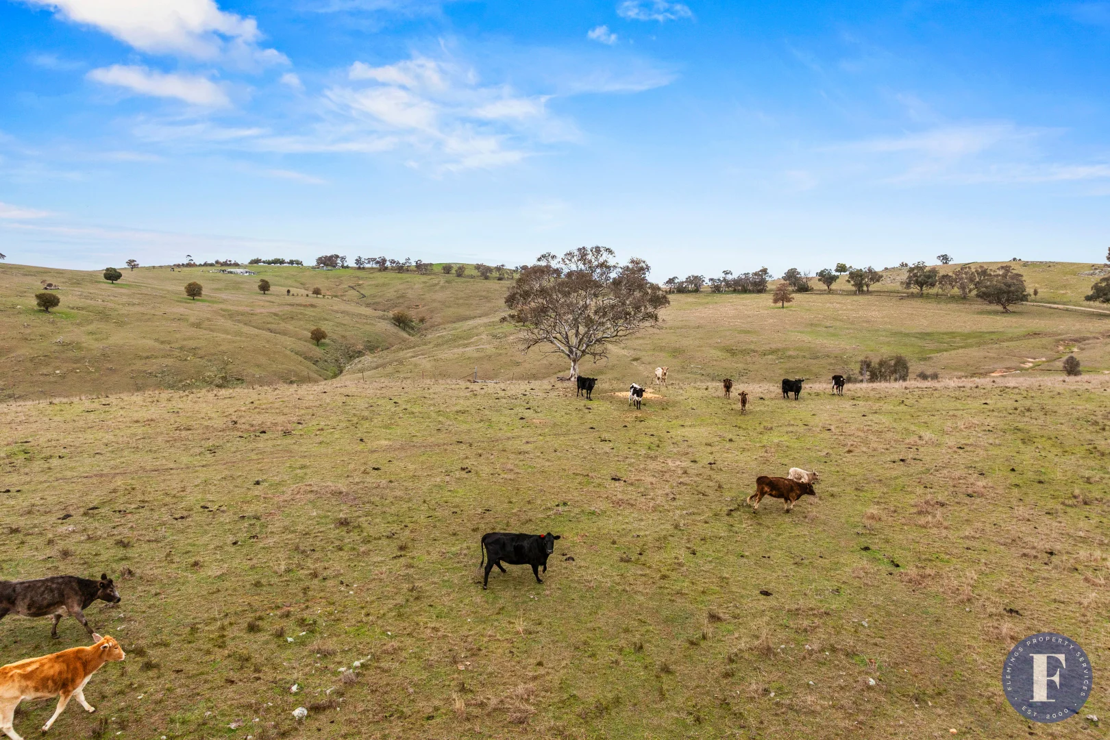 Additional image 18 of 458 Ironbark Lane, Frogmore NSW 2586