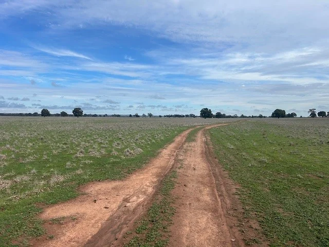 Additional image 6 of 418 Donaldsons Road, Corbie Hill NSW 2705