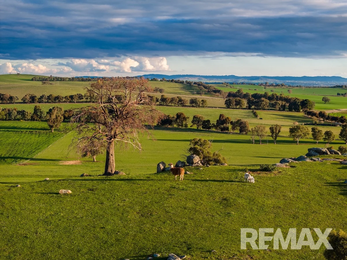 Additional image 25 of 880 Pattersons Road, Harefield NSW 2650